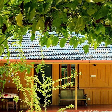 Marari Beach Pearl Homestay マラリクラム エクステリア 写真