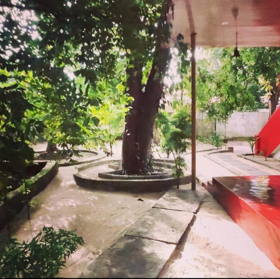 Marari Beach Pearl Homestay マラリクラム エクステリア 写真