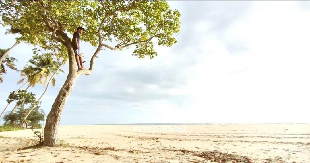 Marari Beach Pearl Homestay マラリクラム エクステリア 写真