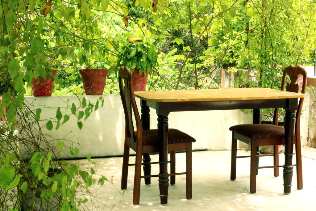 Marari Beach Pearl Homestay マラリクラム エクステリア 写真