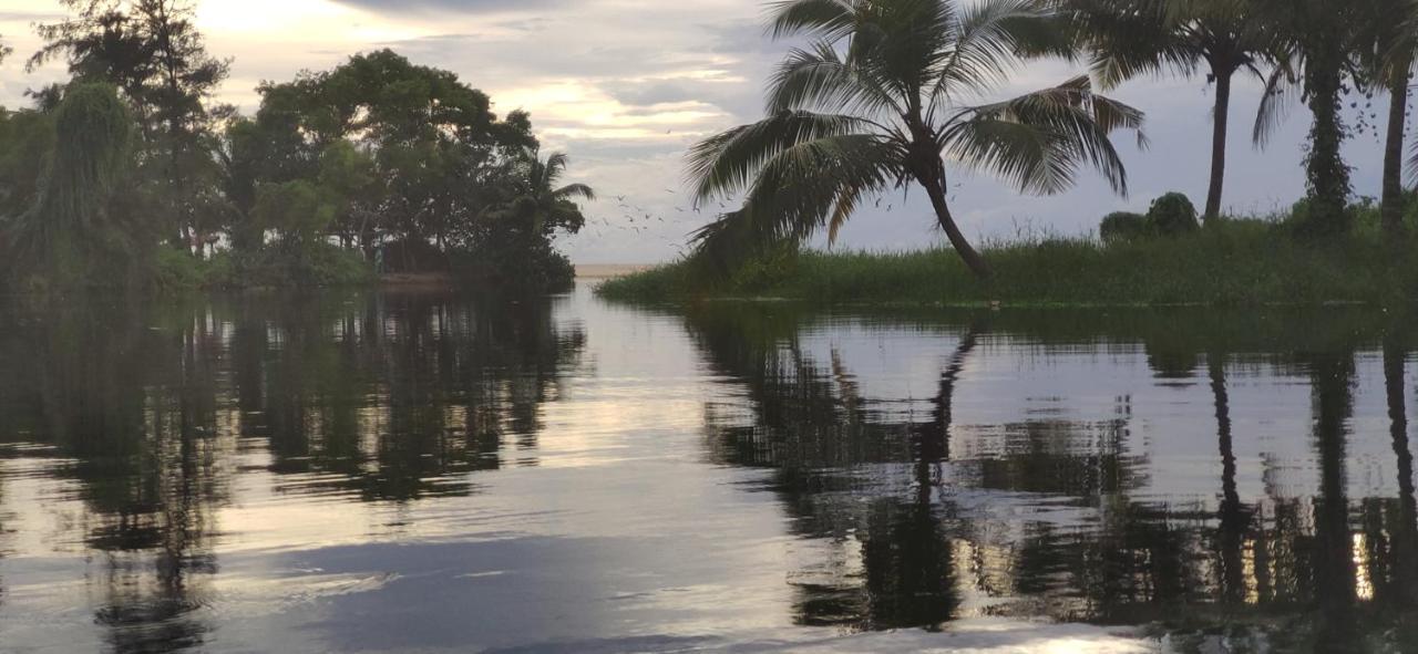 Marari Beach Pearl Homestay マラリクラム エクステリア 写真