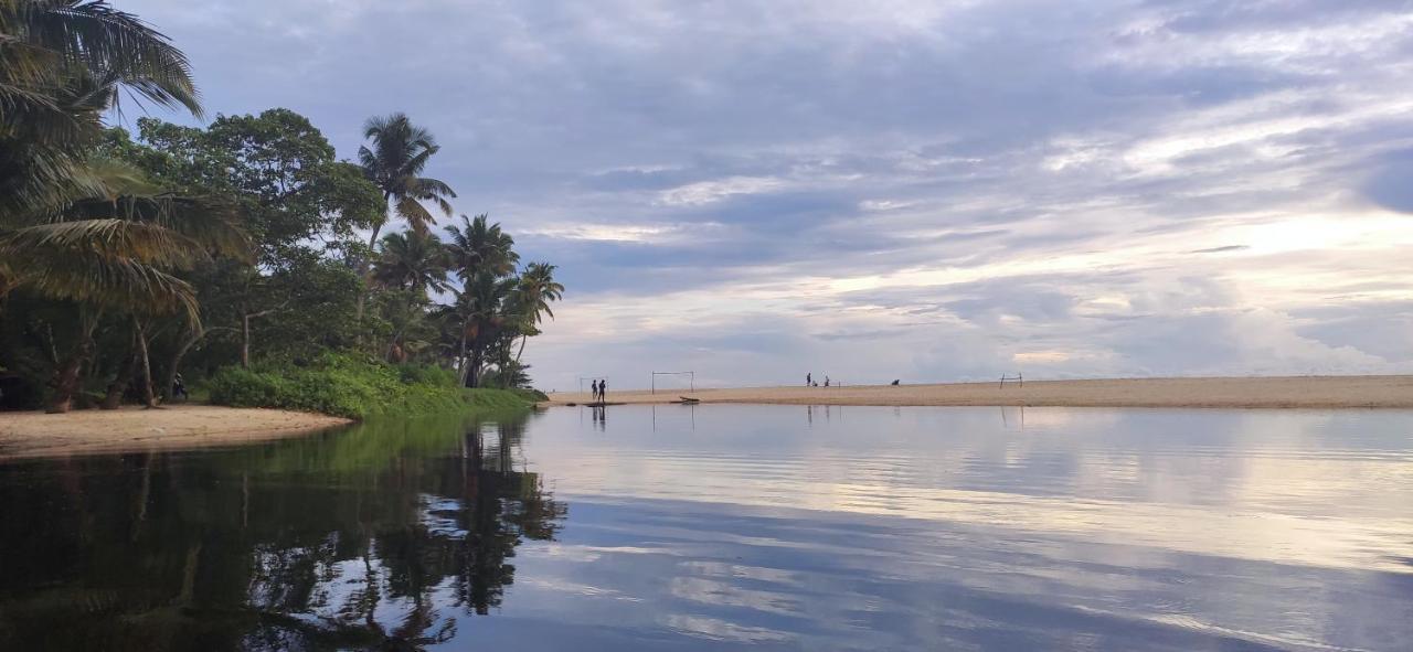 Marari Beach Pearl Homestay マラリクラム エクステリア 写真